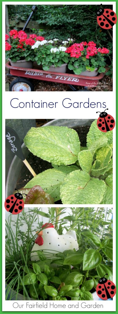 Container Gardens https://lolajack-global.jp.net/container-gardens-our-fairfield-home-garden/