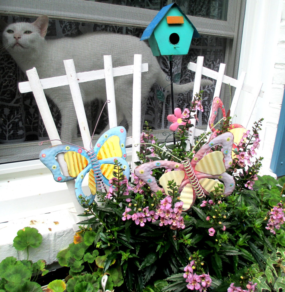 cat in the window https://lolajack-global.jp.net/june-garden-our-fairfield-home-garden/