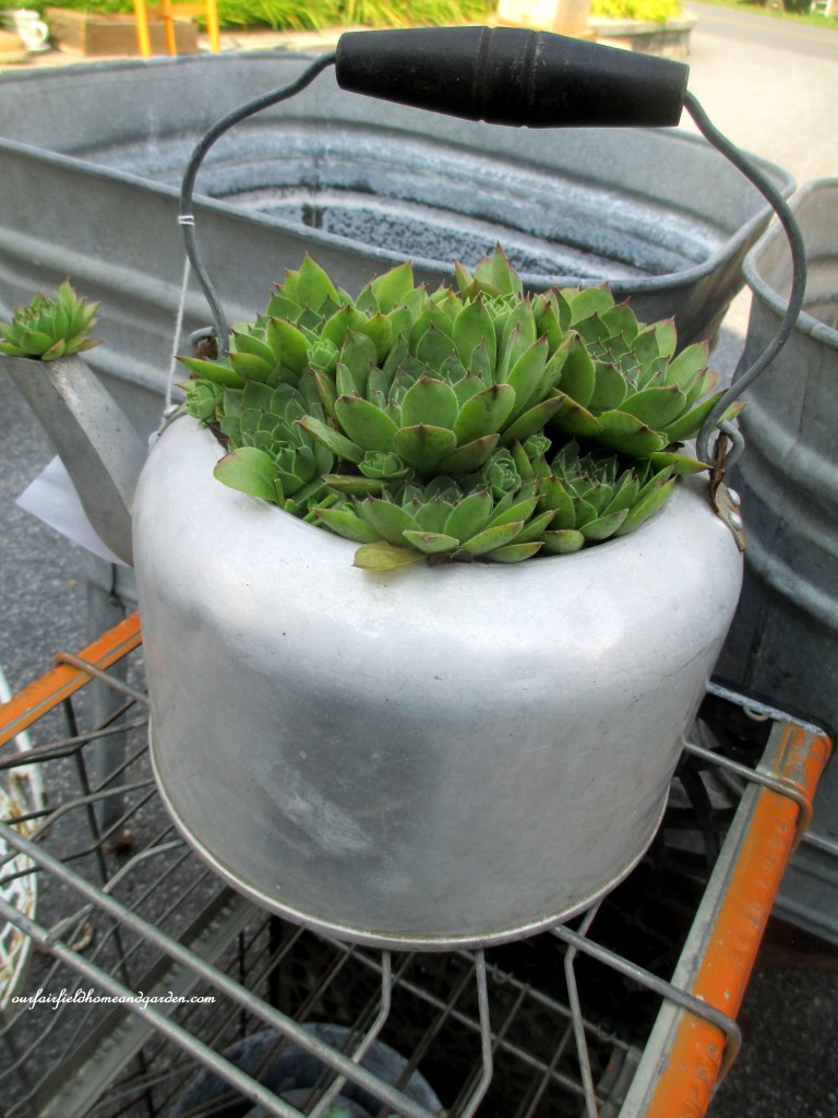 Planted Kettle https://lolajack-global.jp.net/field-trip-potting-bench-from-a-dresser-and-other-ideas-gathered-in-lancaster-county-pa/