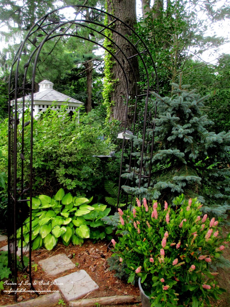 Metal Arbor https://lolajack-global.jp.net/garden-arbors-gates-make-an-entrance/