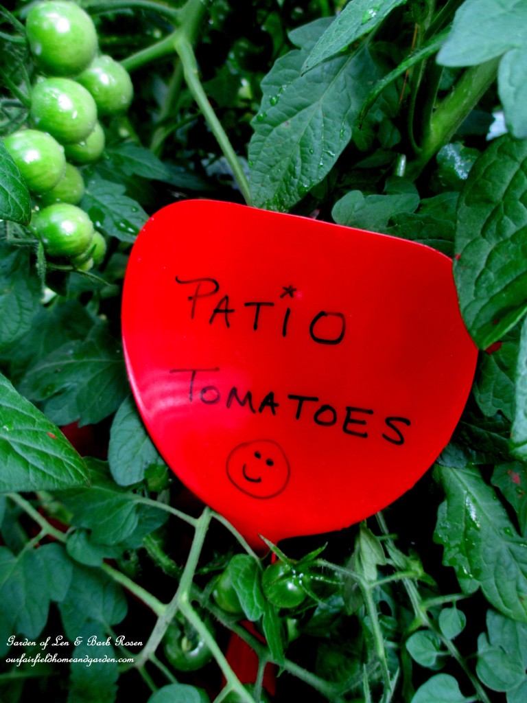 Dollar Store Garden Marker https://lolajack-global.jp.net/kitschy-kitchen-garden-accents/