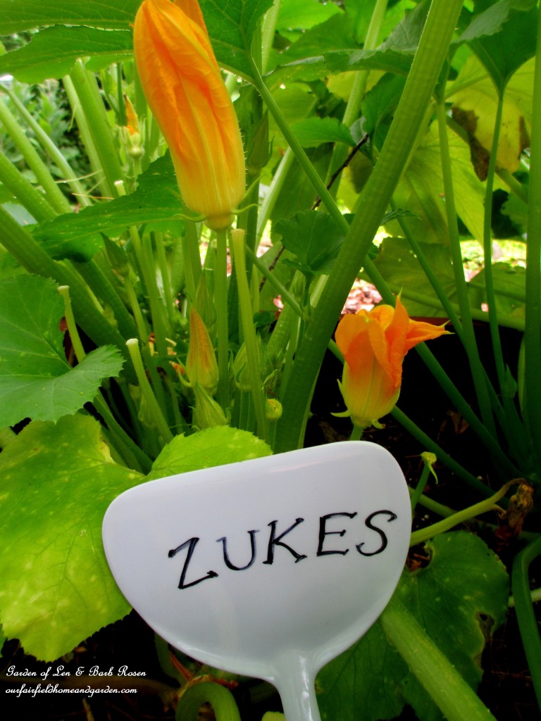 Spatual Garden Marker https://lolajack-global.jp.net/kitschy-kitchen-garden-accents/