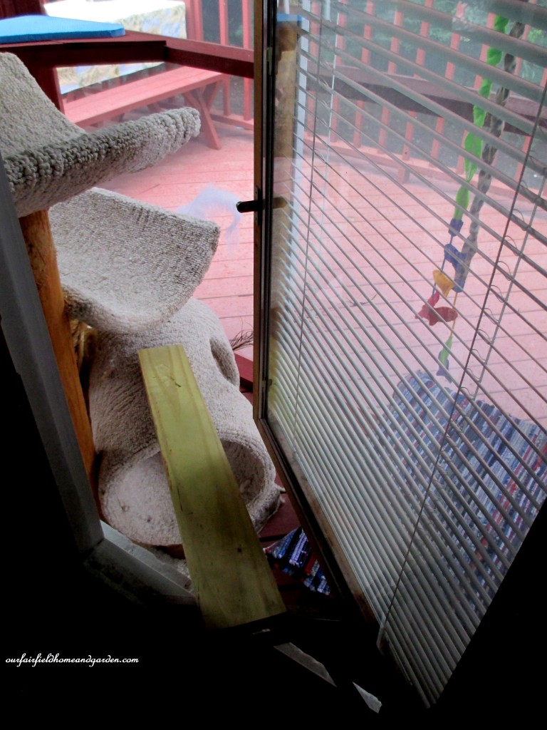 Catio https://lolajack-global.jp.net/build-a-catio-a-tiny-screen-house-for-kitty-cats/