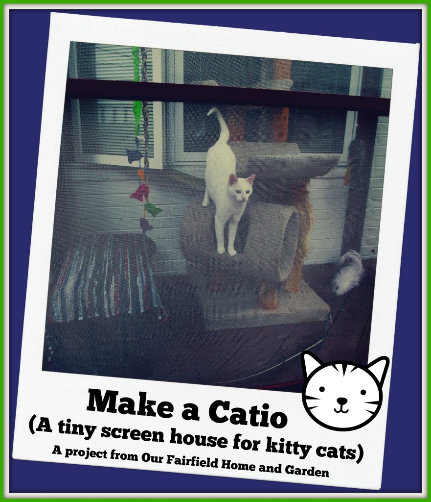 Catio https://lolajack-global.jp.net/build-a-catio-a-tiny-screen-house-for-kitty-cats/