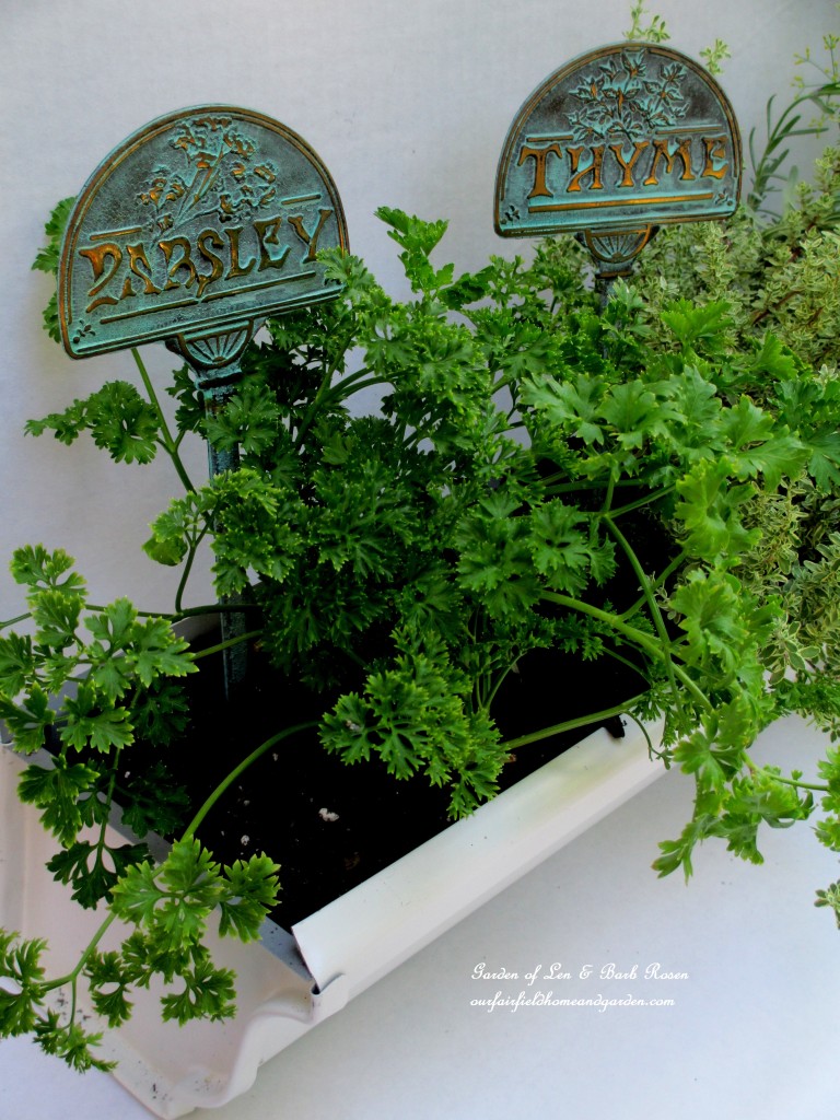 Prsley & Time in the Windowsill Windowbox https://lolajack-global.jp.net/diy-windowsill-windowboxes/