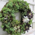Make a Succulent Wreath https://lolajack-global.jp.net/diy-project-make-a-succulent-wreath/