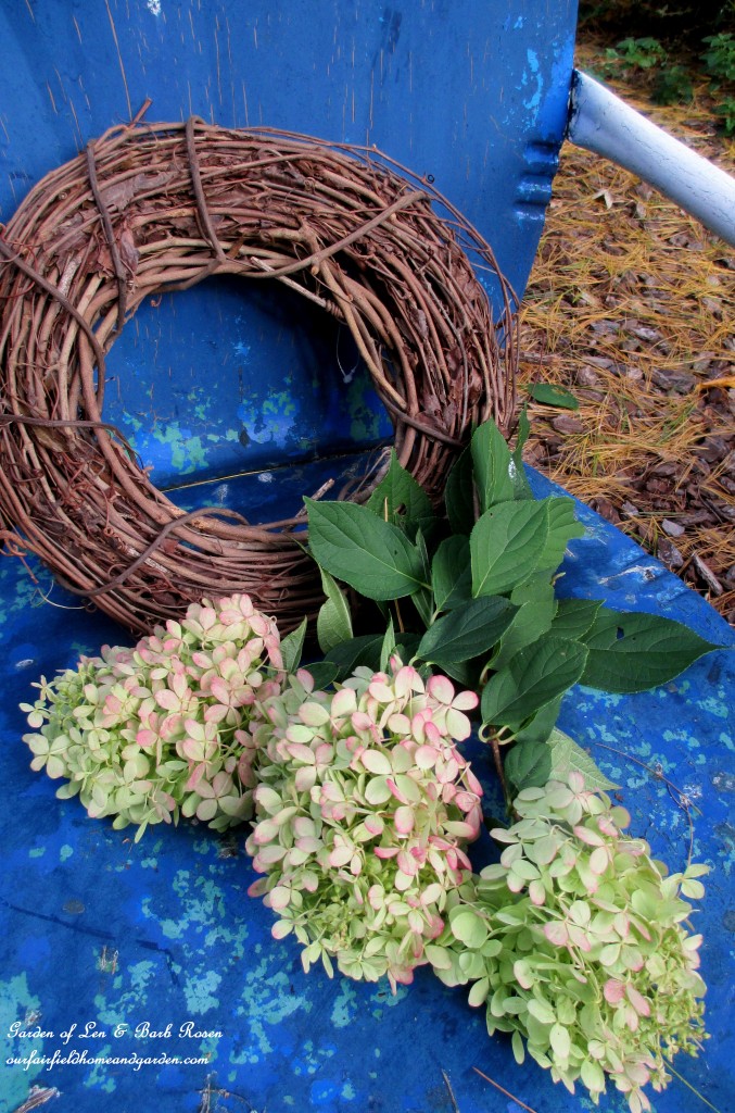 Materials to make a Hydrangea wreath https://lolajack-global.jp.net/diy-free-fall-wreath-using-hydrangeas/