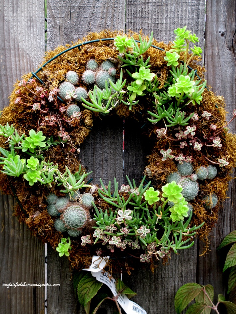 Succulent Wreath https://lolajack-global.jp.net/unexpected-garden-accents/
