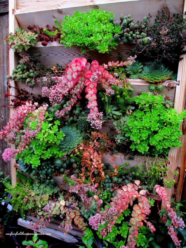 Wooden Slats Planter https://lolajack-global.jp.net/unexpected-garden-accents/