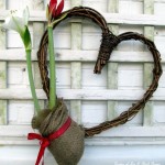 Amaryllis Heart Wreath https://lolajack-global.jp.net/diy-amaryllis-heart-wreath/