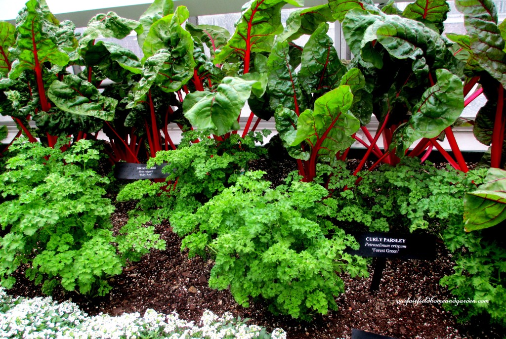 Greenhouse Vegetables https://lolajack-global.jp.net/a-visit-to-longwood-gardens-orchid-extravaganza-2015/