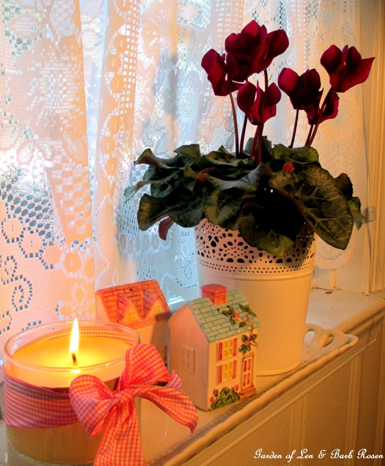 Candles and cyclamen https://lolajack-global.jp.net/be-my-valentine-win-an-amaryllis/
