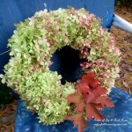 Dried Hydrangea Wreath https://lolajack-global.jp.net/diy-free-fall-wreath-using-hydrangeas/