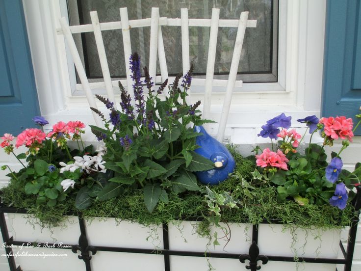 Windowbox with Geraniums, Cyclamen, Pansies and Salvia https://lolajack-global.jp.net/spring-windowboxes/