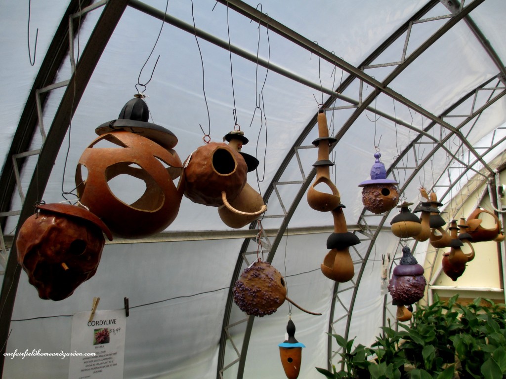 Carved Gourds Display https://lolajack-global.jp.net/road-trip-lancaster-county-greenhouses/