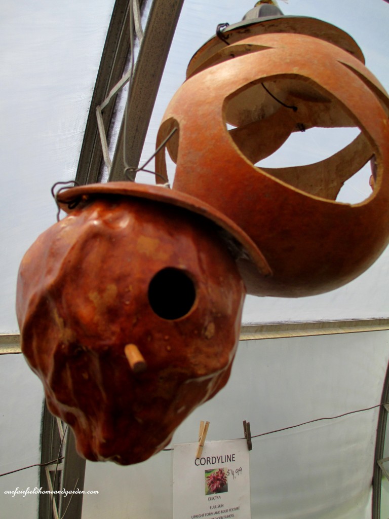 Gourd birdhouses and feeders https://lolajack-global.jp.net/road-trip-lancaster-county-greenhouses/