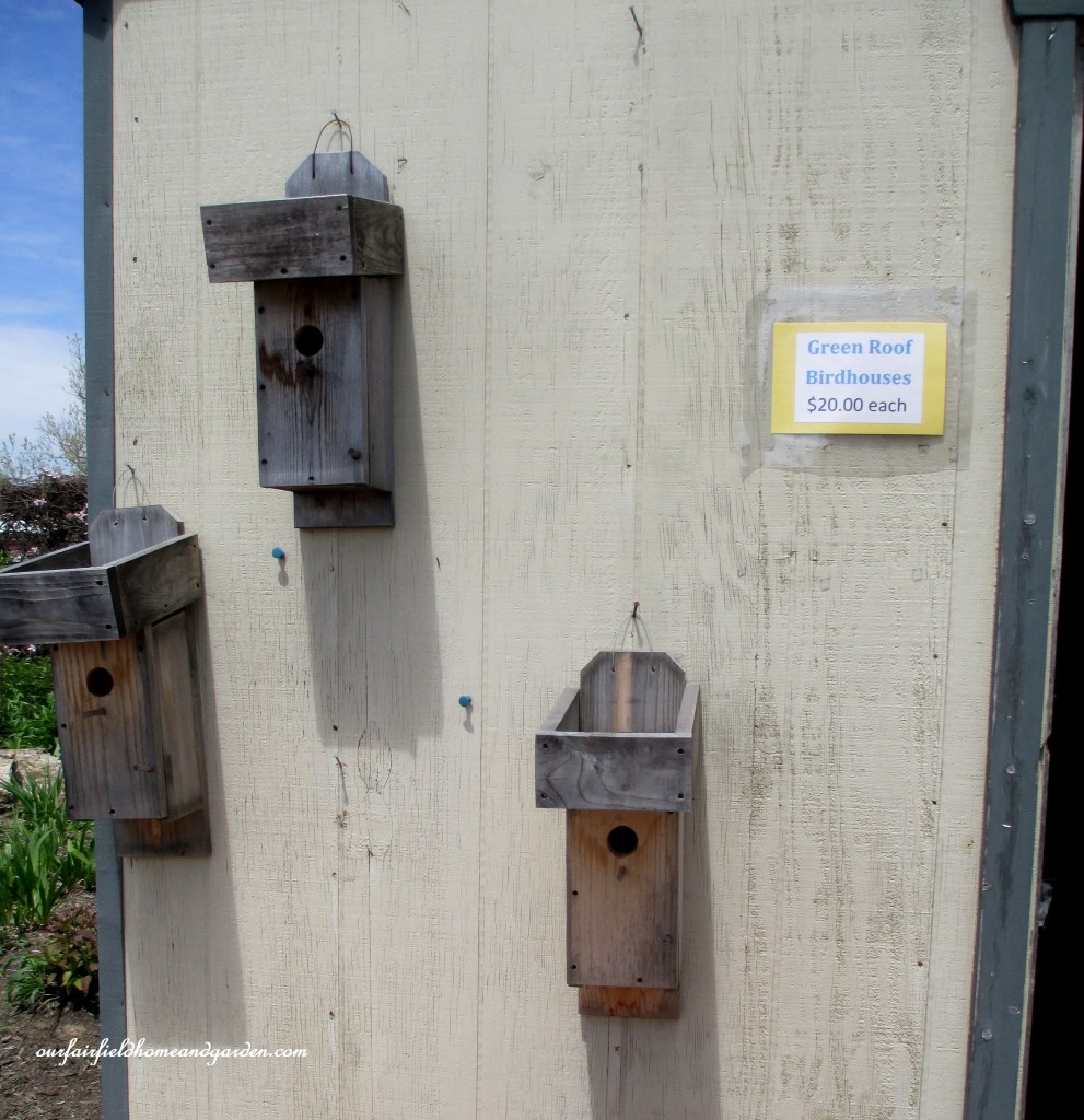 Green Roof Birdhouses For Sale! https://lolajack-global.jp.net/road-trip-lancaster-county-greenhouses/