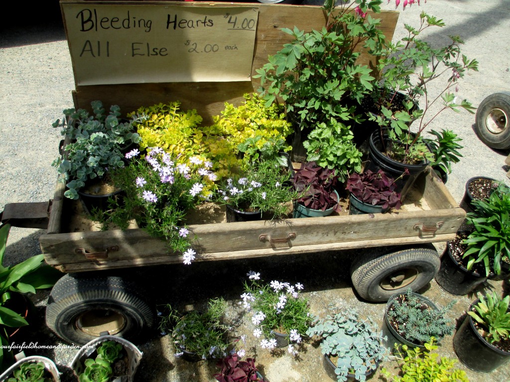 roadside stand https://lolajack-global.jp.net/road-trip-lancaster-county-greenhouses/