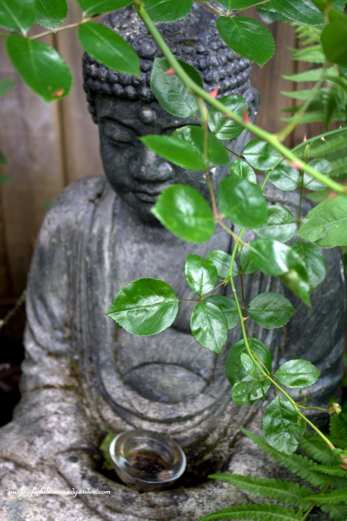 Buddha ~ Cottage In the Roses https://lolajack-global.jp.net/cottage-in-the-roses/