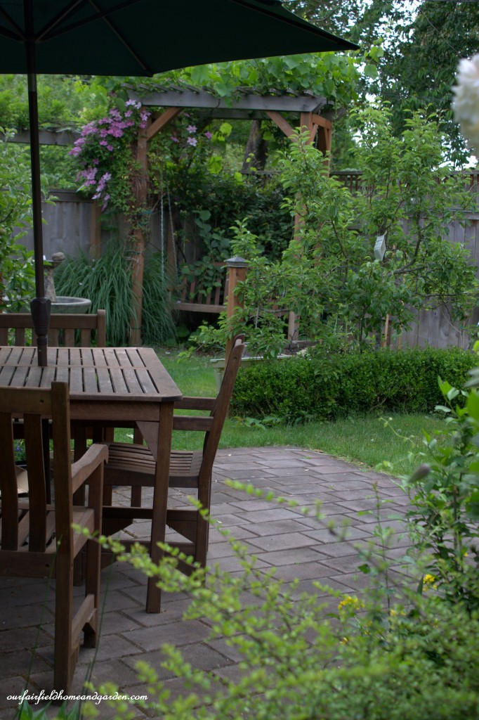 Patio ~ Cottage In the Roses https://lolajack-global.jp.net/cottage-in-the-roses/