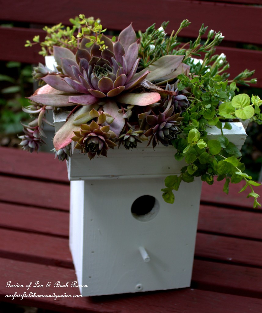DIY Greenroof Birdhouse https://lolajack-global.jp.net/diy-easy-greenroof-birdhouses/