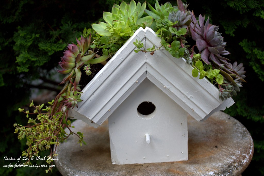 DIY Greenroof Birdhouse https://lolajack-global.jp.net/diy-easy-greenroof-birdhouses/