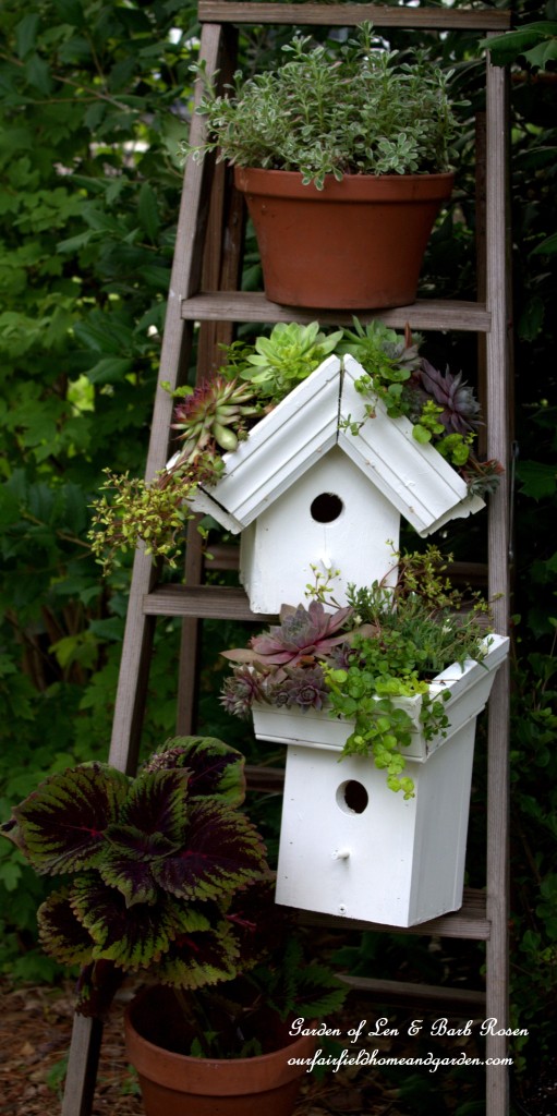 Greenroof Birdhouses https://lolajack-global.jp.net/diy-easy-greenroof-birdhouses/