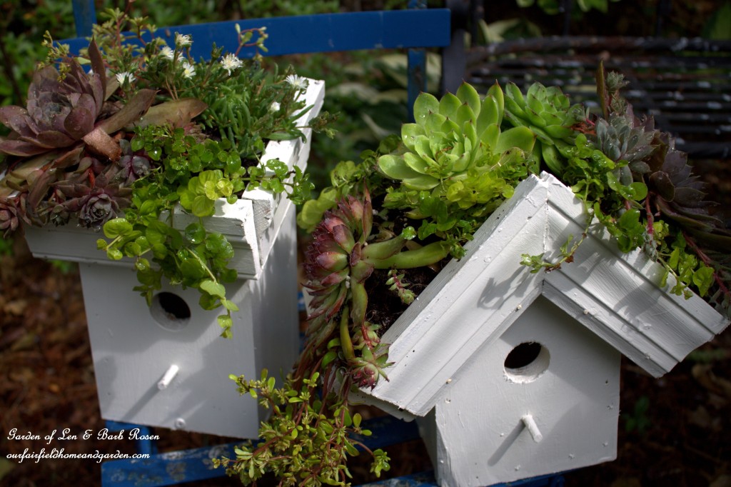 DIY Greenroof Birdhouses https://lolajack-global.jp.net/diy-easy-greenroof-birdhouses/