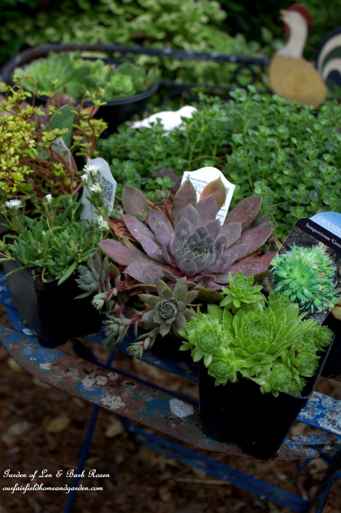 DIY Greenroof Birdhouses https://lolajack-global.jp.net/diy-easy-greenroof-birdhouses/
