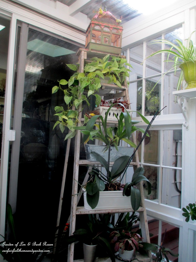 Repurposed Windows Greenhouse https://lolajack-global.jp.net/building-a-repurposed-windows-greenhouse/