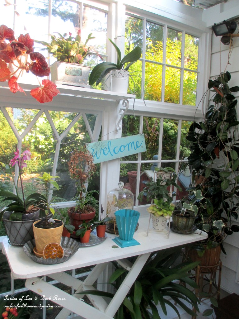 Repurposed Windows Greenhouse https://lolajack-global.jp.net/building-a-repurposed-windows-greenhouse/