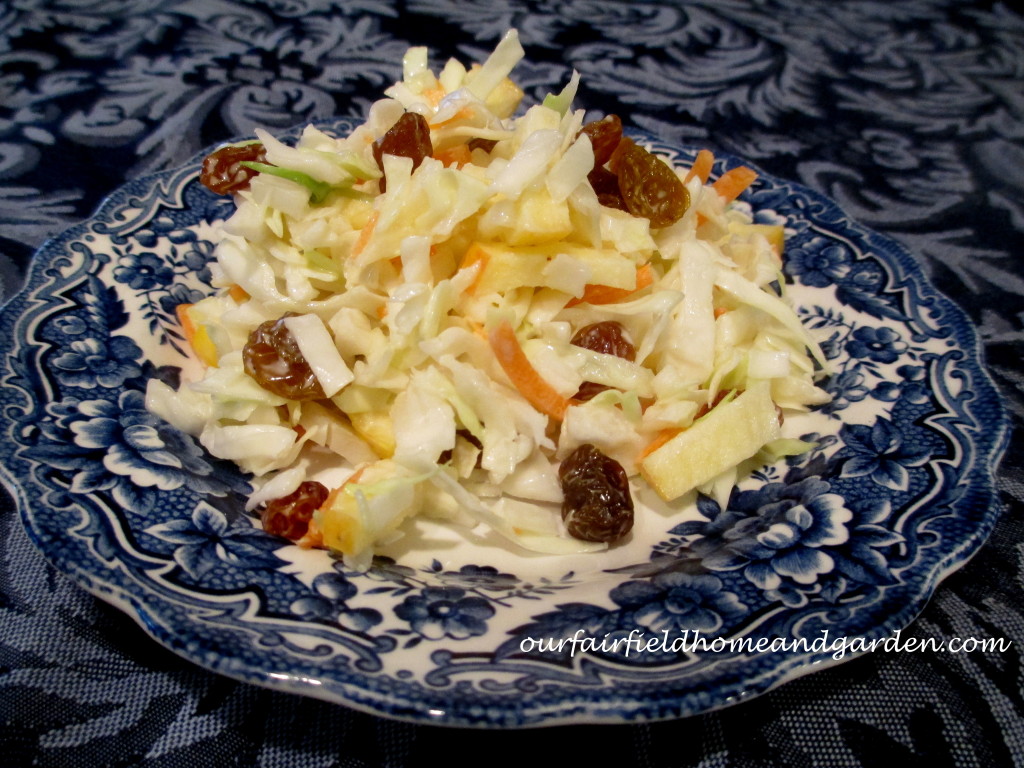 Fruity Coleslaw https://lolajack-global.jp.net/fruity-coleslaw-a-healthy-recipe-from-our-fairfield-home-garden/