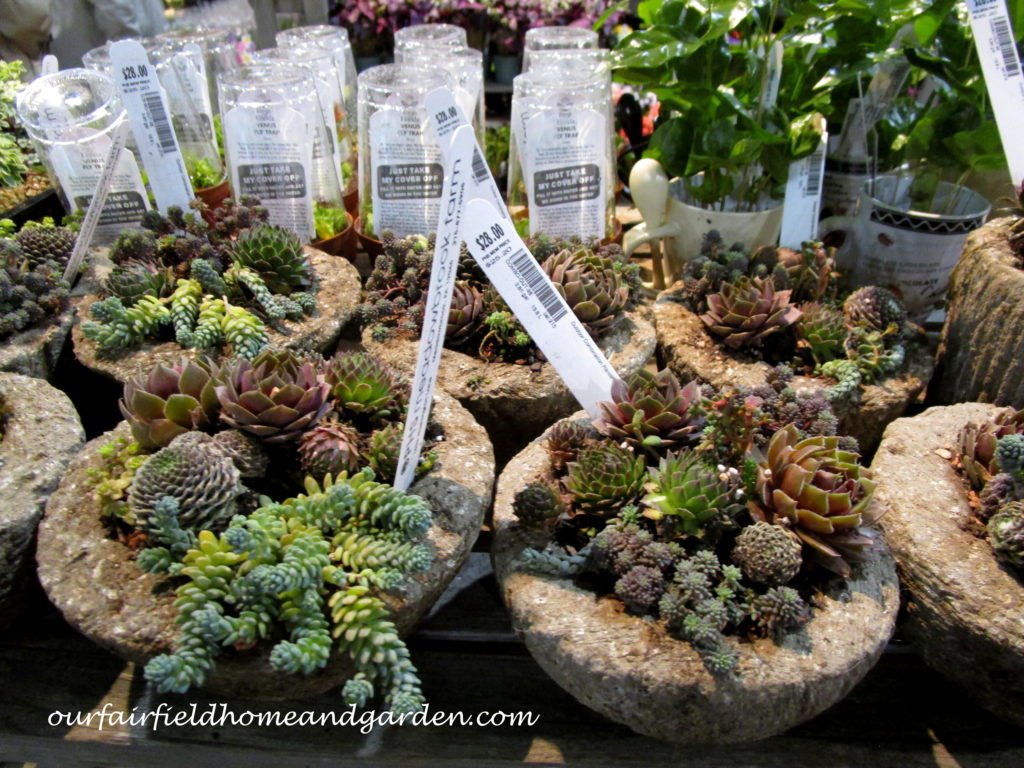 2017 Philadelphia Flower Show https://lolajack-global.jp.net/field-trip-philadelphia-flower-show/