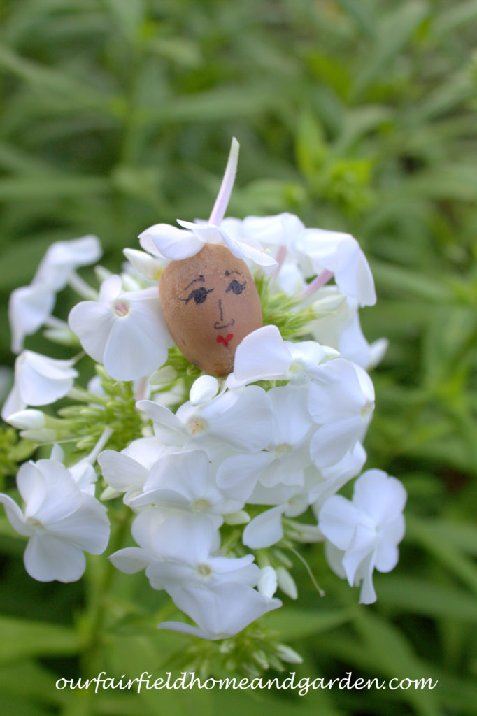 Flower Fairies https://lolajack-global.jp.net/flower-fairies/