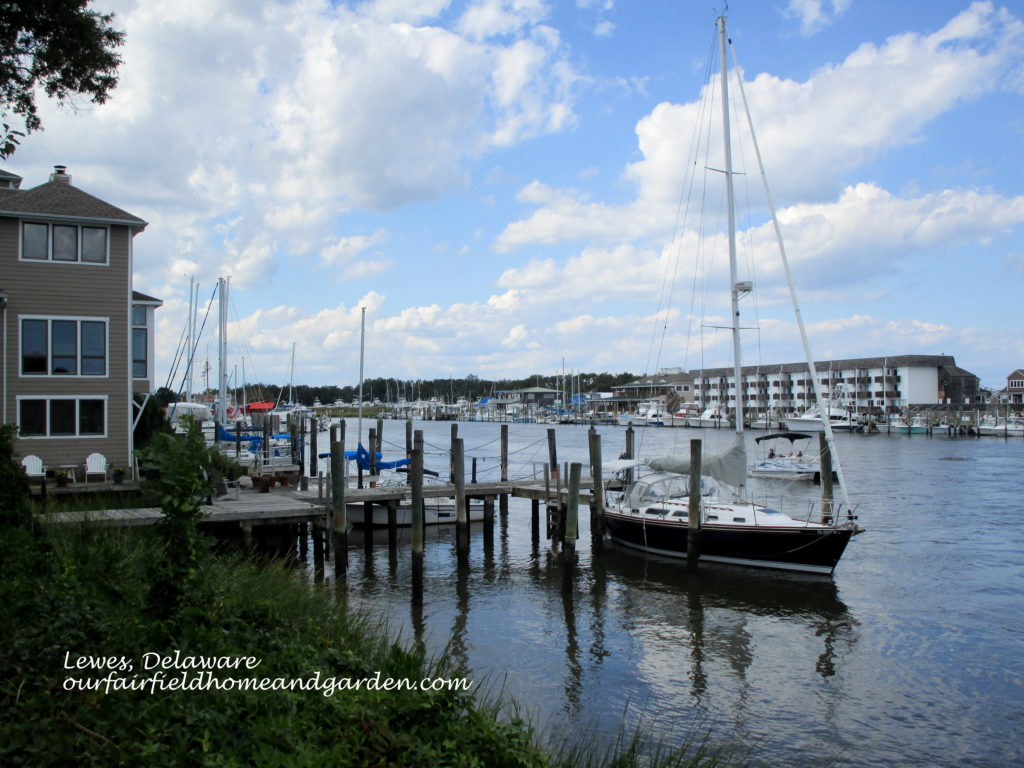 Lewes Beach, DE https://lolajack-global.jp.net/field-trip-lewes-beach-get-a-way/