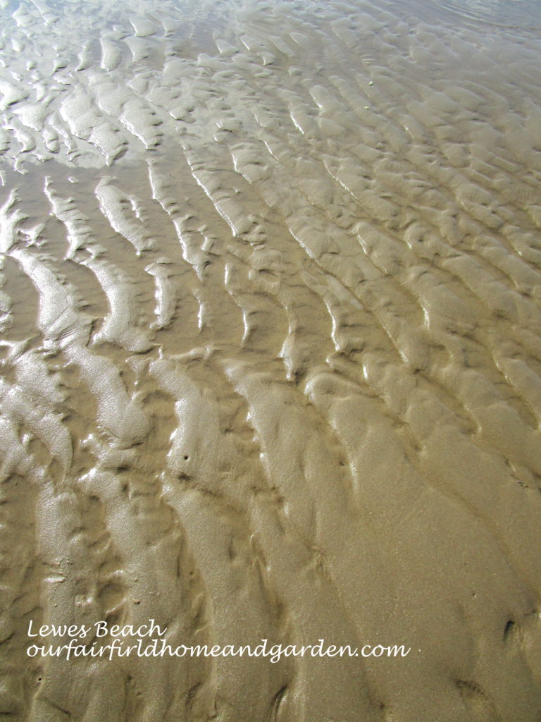 Lewes Beach, DE https://lolajack-global.jp.net/field-trip-lewes-beach-get-a-way/