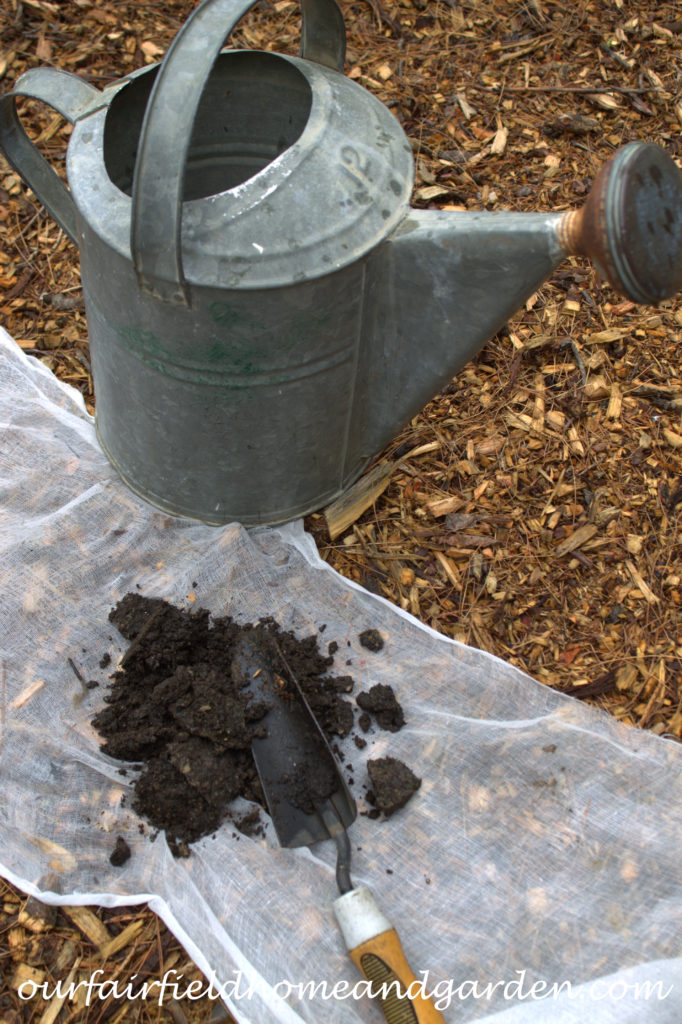 Cheesecloth in the Garden https://lolajack-global.jp.net/cheesecloth-uses-in-the-garden-practical-and-recyclable/