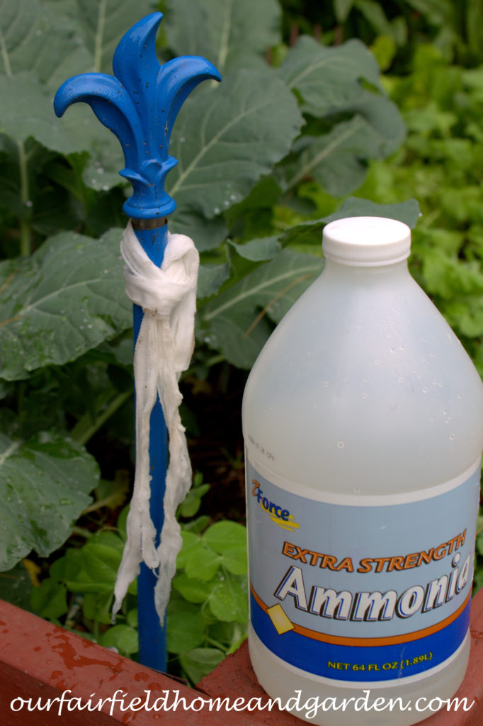 Cheesecloth in the Garden https://lolajack-global.jp.net/cheesecloth-uses-in-the-garden-practical-and-recyclable/