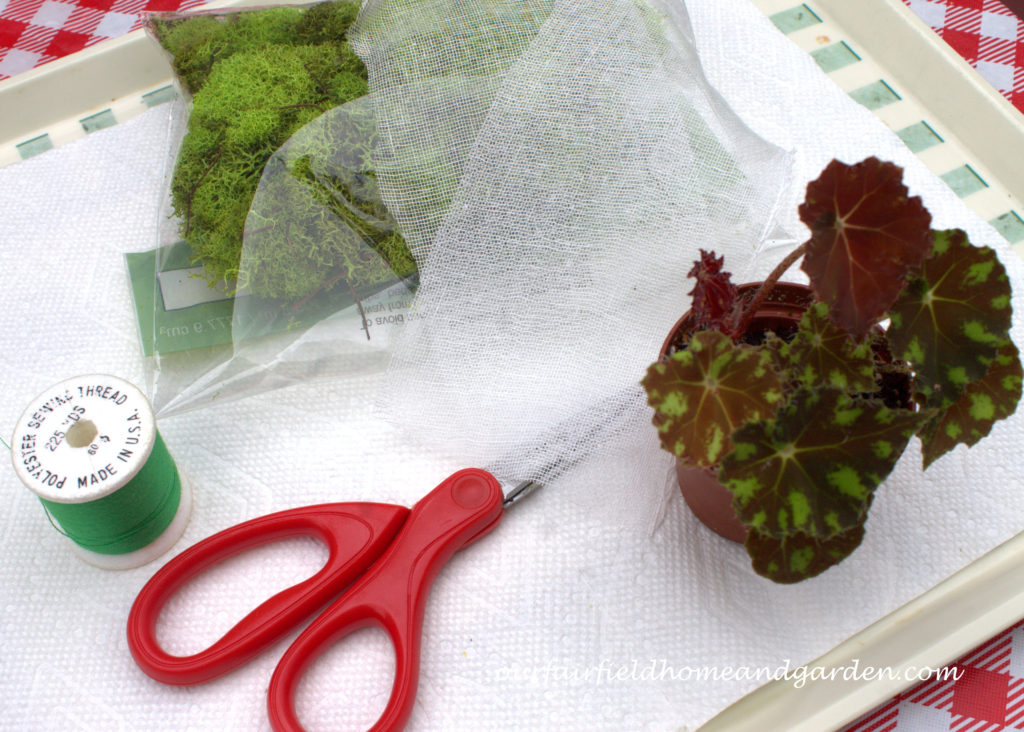 Cheesecloth in the Garden https://lolajack-global.jp.net/cheesecloth-uses-in-the-garden-practical-and-recyclable/