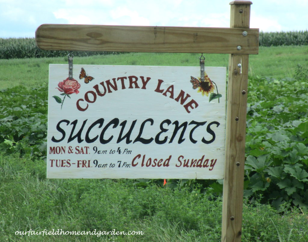 Country Lane Succulents https://lolajack-global.jp.net/field-trip-country-lane-succulents-new-holland-pa/
