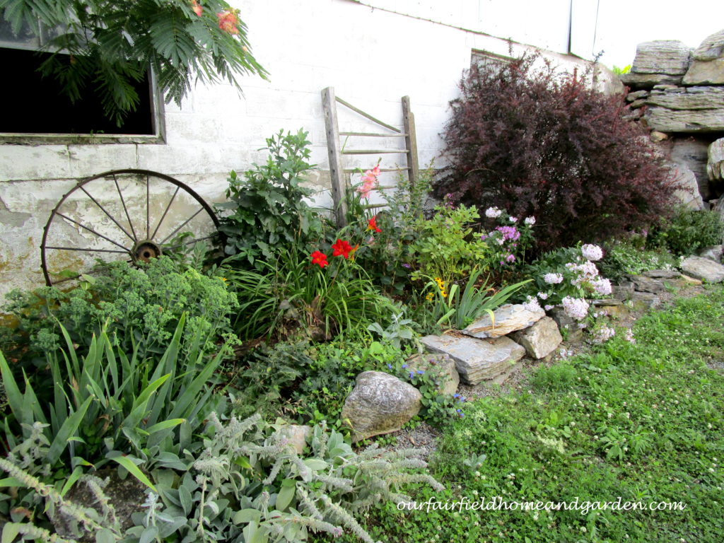 Country Lane Succulents https://lolajack-global.jp.net/field-trip-country-lane-succulents-new-holland-pa/