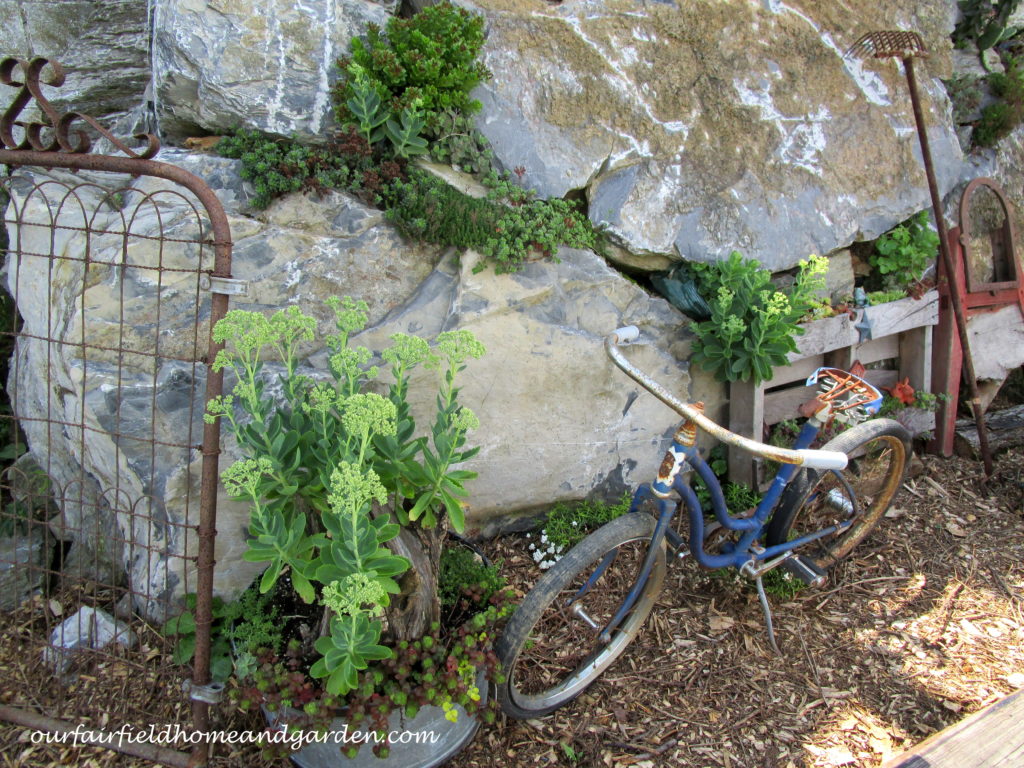 Country Lane Succulents https://lolajack-global.jp.net/field-trip-country-lane-succulents-new-holland-pa/