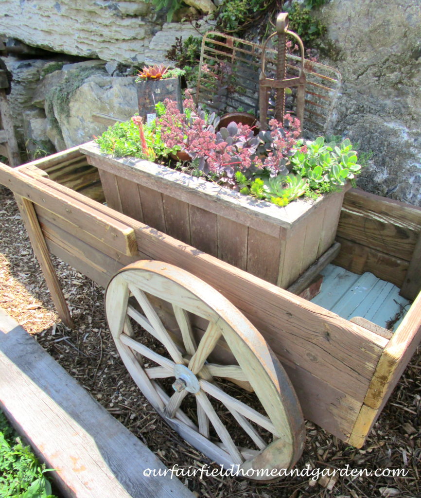Country Lane Succulents https://lolajack-global.jp.net/field-trip-country-lane-succulents-new-holland-pa/
