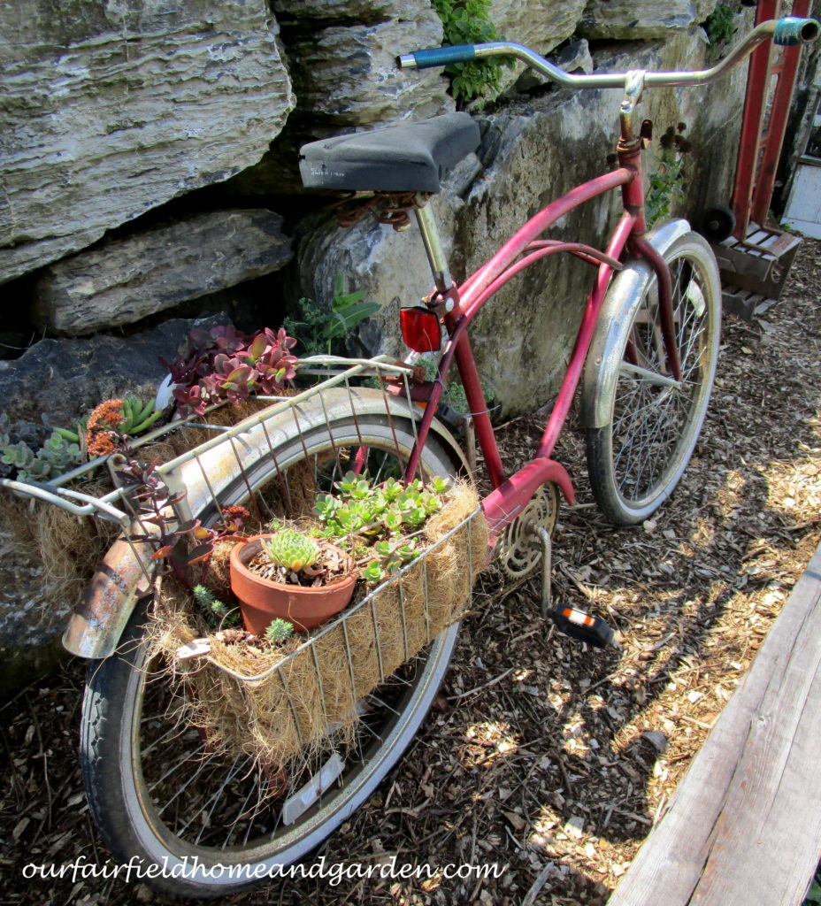 Country Lane Succulents https://lolajack-global.jp.net/field-trip-country-lane-succulents-new-holland-pa/