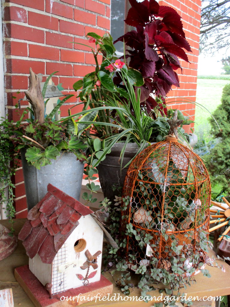 Country Lane Succulents https://lolajack-global.jp.net/field-trip-country-lane-succulents-new-holland-pa/