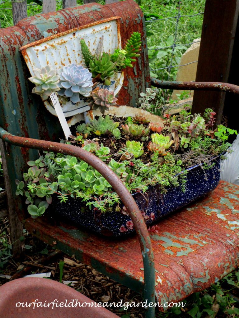 Country Lane Succulents https://lolajack-global.jp.net/field-trip-country-lane-succulents-new-holland-pa/