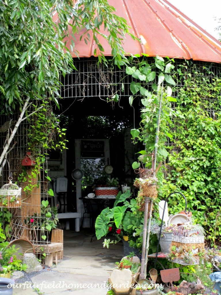 Country Lane Succulents https://lolajack-global.jp.net/field-trip-country-lane-succulents-new-holland-pa/