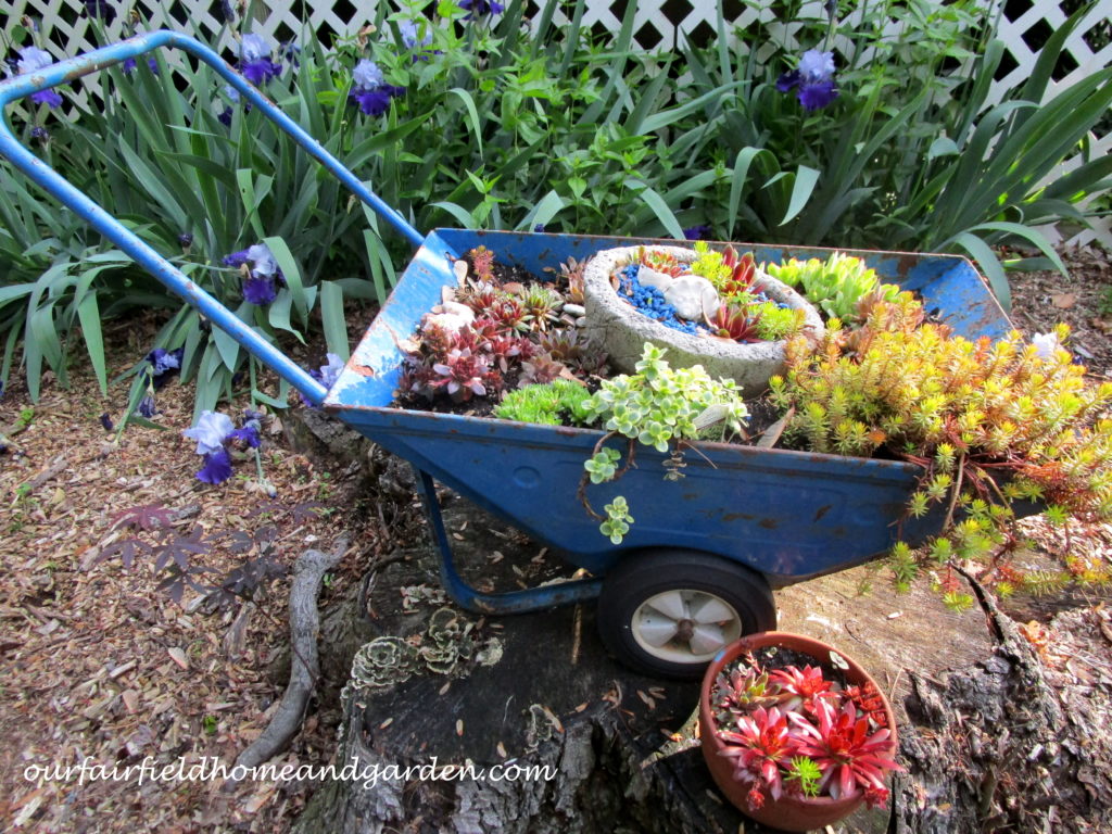 Succulent Wheelbarrow Planter https://lolajack-global.jp.net/succulent-wheelbarrow-planter/