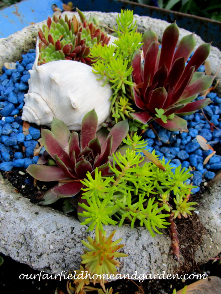 Succulent Wheelbarrow Planter https://lolajack-global.jp.net/succulent-wheelbarrow-planter/