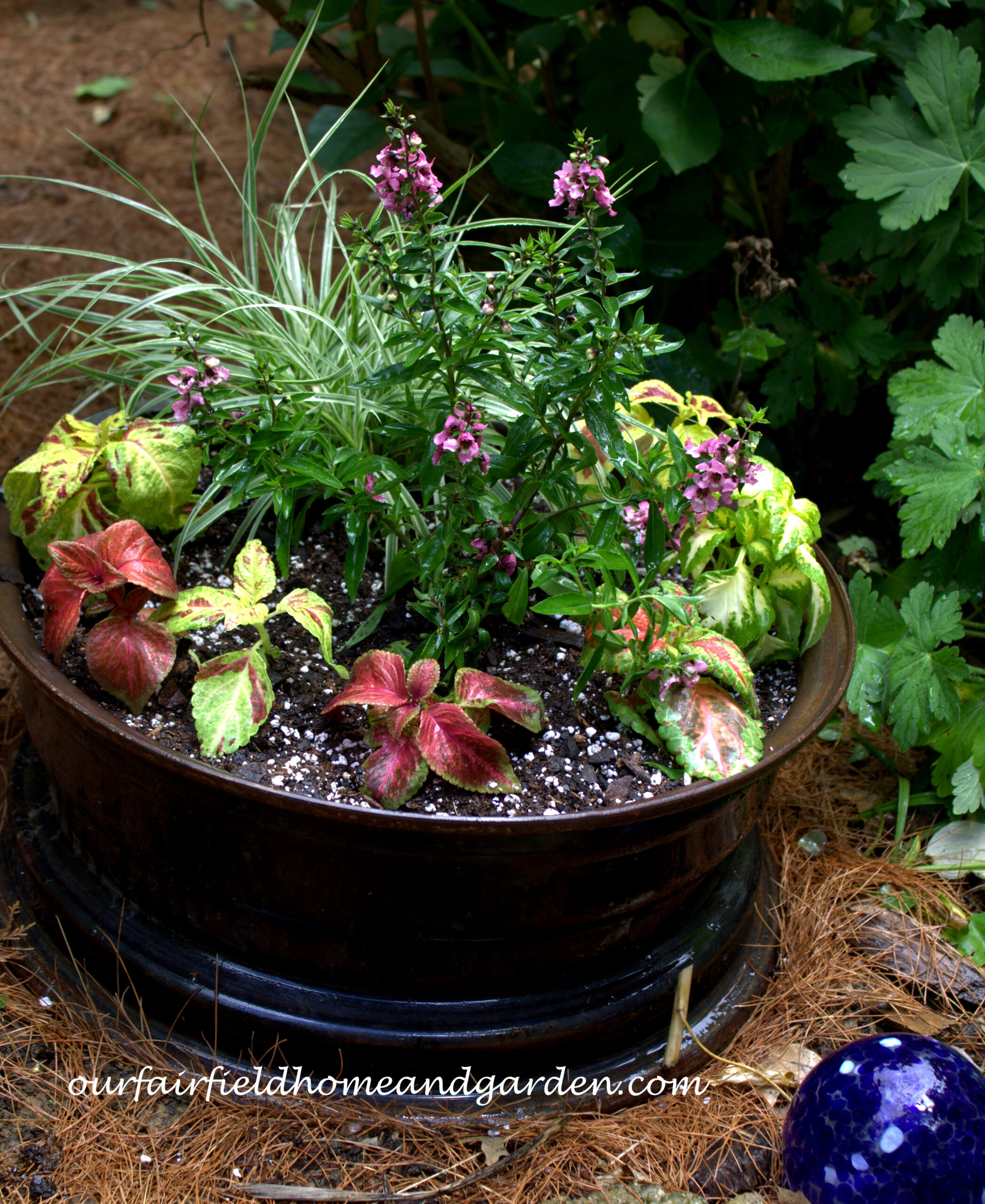 Wheel Rim Planters